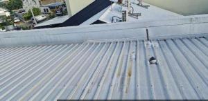 Paddington-Roof-Inspection 34