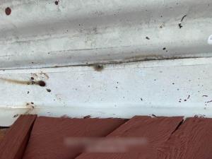 Thornlands-Roof-Inspection20