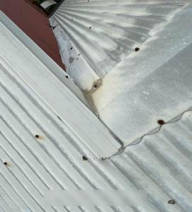 Thornlands-Roof-Inspection25