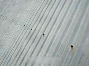 Thornlands-Roof-Inspection31