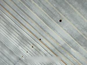 Thornlands-Roof-Inspection32