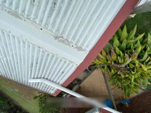 Thornlands-Roof-Inspection54