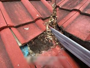 Tweed-Heads-Roof-Inspection-Report 22