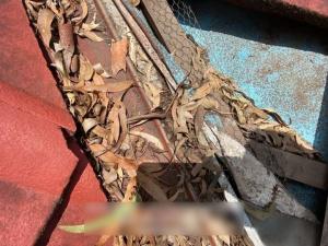 Tweed-Heads-Roof-Inspection-Report 23