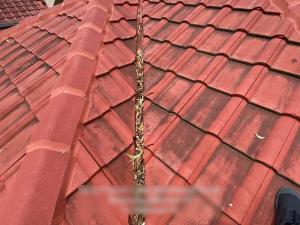 Tweed-Heads-Roof-Inspection-Report 28