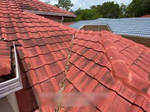 Tweed-Heads-Roof-Inspection-Report 6