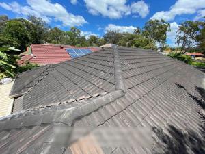 banora point roof inspection