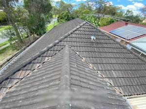 banora point roof inspection