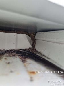 bowen-hills-roof-condition-report110