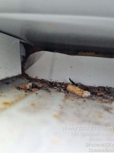 bowen-hills-roof-condition-report111