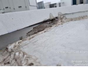 bowen-hills-roof-condition-report176