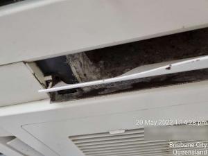 bowen-hills-roof-condition-report198