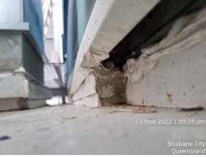 bowen-hills-roof-condition-report77