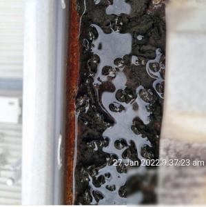 inner-west-sydney-roof-inspection Page 12 Image 0004