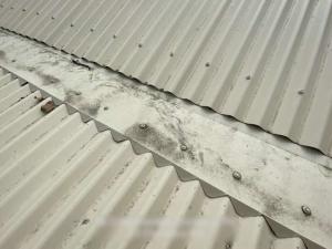 robina-roof-inspection-report Page 18 Image 0003