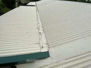 robina-roof-inspection-report Page 18 Image 0004